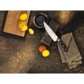 Pro Chef's Knife 26cm - 8
