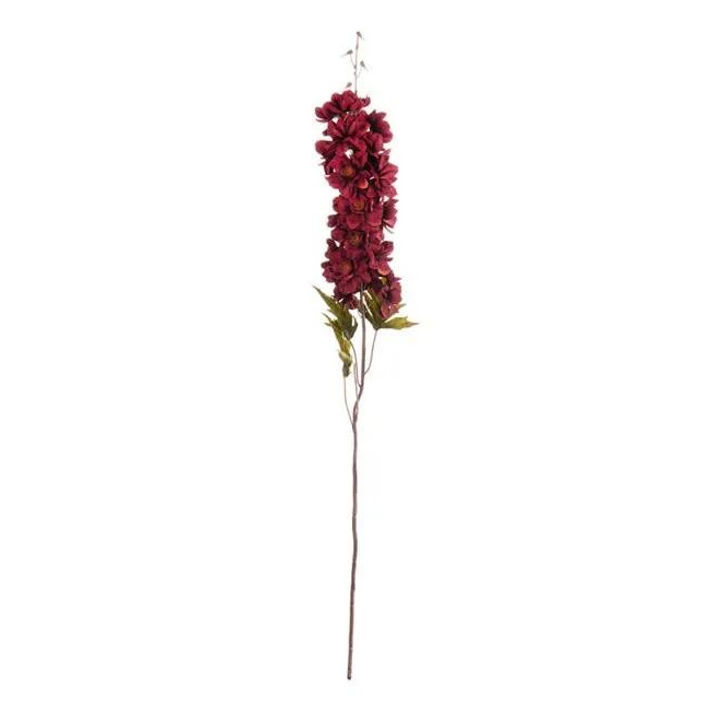 Aristolochia Branch 78cm