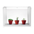 Serra Glass Container for Flowers and Herbs 46x33x20 - 2
