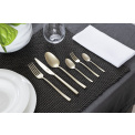 Rock PVD 24-Piece Cutlery Set (6 People) Antique Champagne - 3