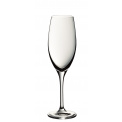 Royal 250ml Champagne Glass - 1