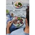 Spitzenklasse Plus 12cm Steak Knife - 6