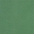 Green Uni Napkins 40x40cm 12 pcs. - 1
