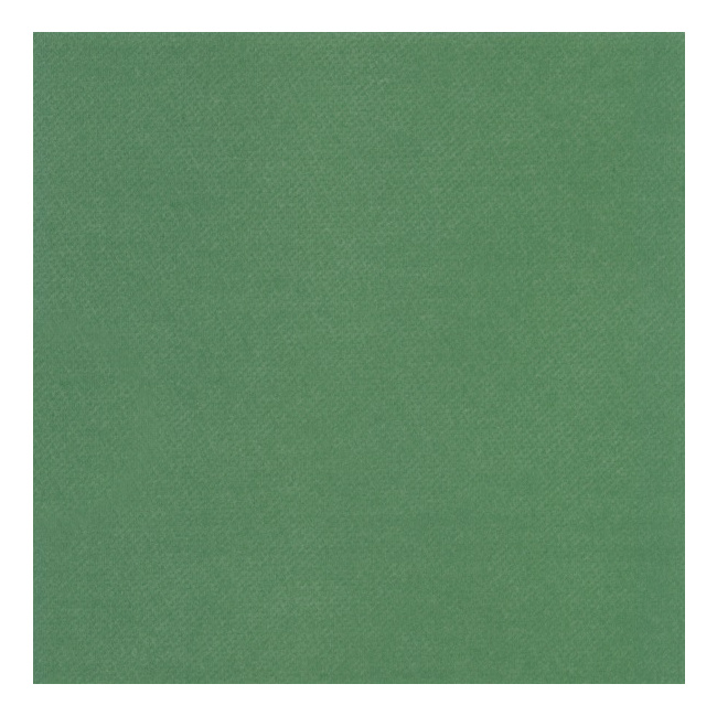 Green Uni Napkins 40x40cm 12 pcs. - 1