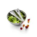 Insalata Salad Bowl with Spoons - 2