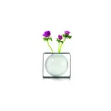 Float Vase 17cm - 4