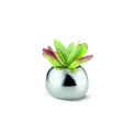 Bella S 12x16cm Vase - 4