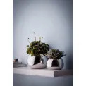 Bella S 12x16cm Vase - 2