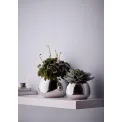 Bella L 15x21cm Vase - 2