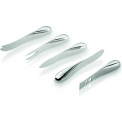 Space 5-Piece Cheese Knife Set - 2