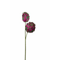 Purple Artichoke Branch 60cm - 1