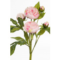 Kwiat piwonia różowa 40cm - 1