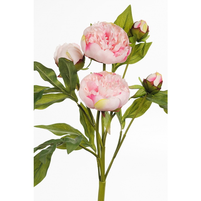 Kwiat piwonia różowa 40cm