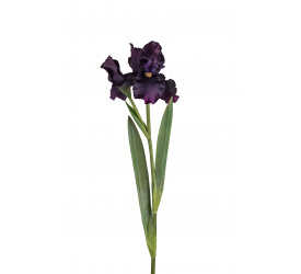 Kwiat irys fioletowy 80cm