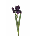 Purple Iris Flower 80cm - 1