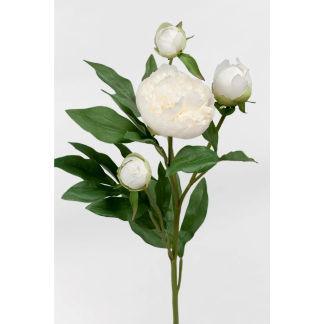 White Peony Flower 65cm