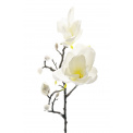Gałązka magnolii biała 60cm - 1