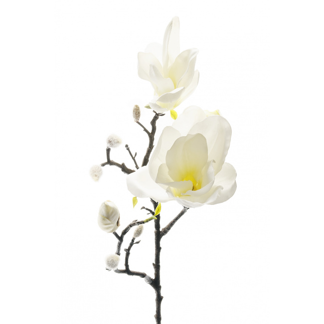Gałązka magnolii biała 60cm - 1
