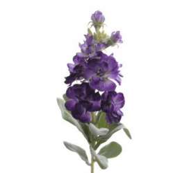 Kwiat lewkonii 38cm