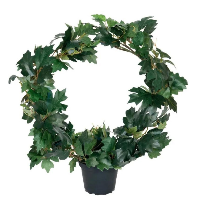 Kwiat cissus 45cm