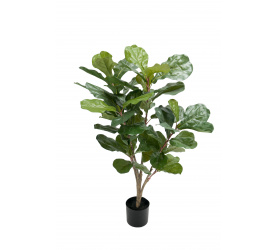 Drzewko figowca 90cm