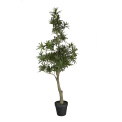 Buddhist Pine Tree 95cm