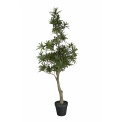 Buddhist Pine Tree 95cm - 1