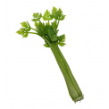 Celery Decoration 38cm - 1