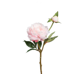 Kwiat piwonia różowa 35cm