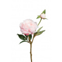 Kwiat piwonia różowa 35cm - 1