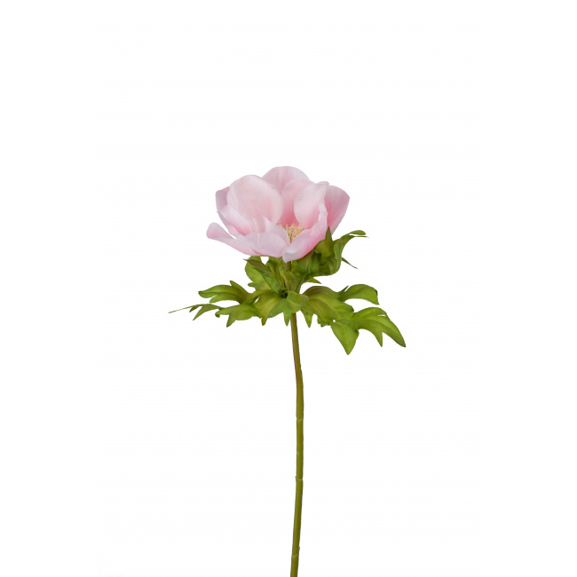 Kwiat zawilec różowy 43cm
