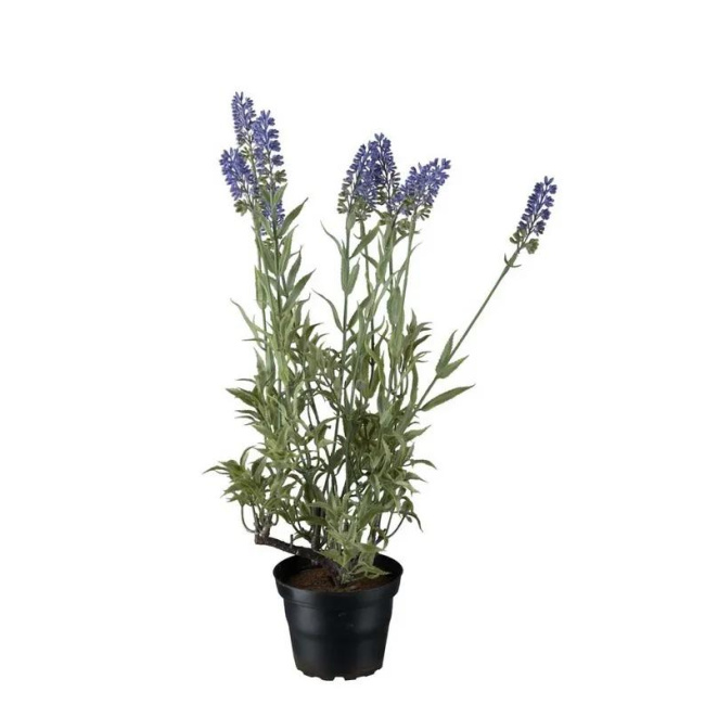 Lavender Flower 45cm
