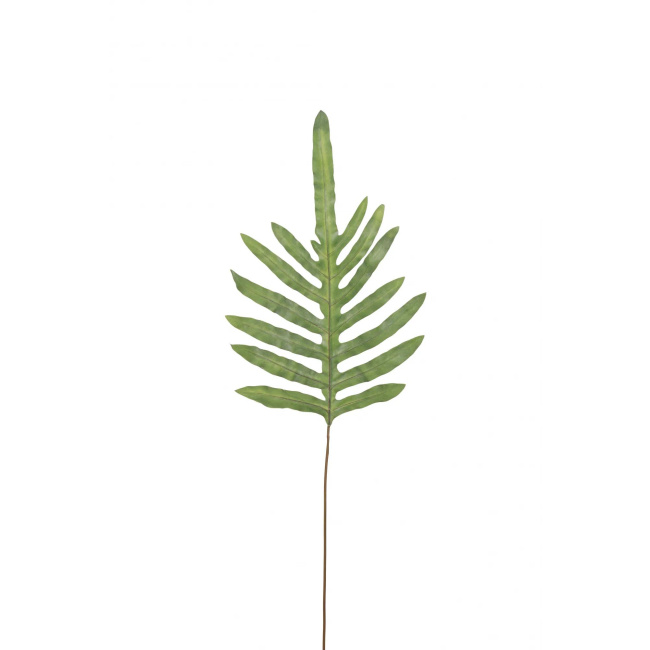Fern Leaf 100cm