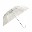 Transparent Long Umbrella with White Border