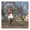 Transparent Long Umbrella with White Border - 2