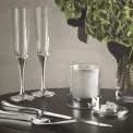 Set of 2 Vera Wang Champagne Flutes - 4