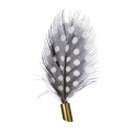 Set of Four Feather Magnets - 4
