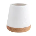 Wooden Base Candle Holder with Plants - 1
