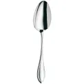 Premiere 23.7cm Serving Spoon - 1