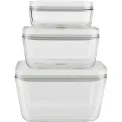 Fresh & Save Glass Container Set of 3 - 13