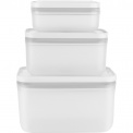 Fresh & Save Plastic Container Set of 3 - 4