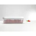 Fresh & Save Plastic Container Set of 3 - 8