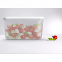 Fresh & Save Plastic Container Set of 3 - 6
