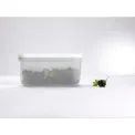 Fresh & Save Plastic Container Set of 3 - 7