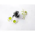Pro Enfinigy Electric Kettle 1.5l - 8
