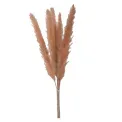 Fiore Pink Pampas Grass 70cm - 1