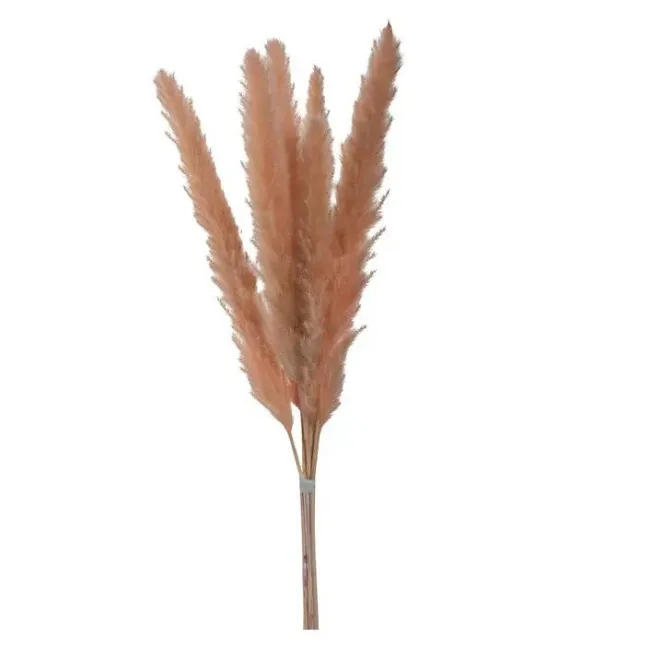 Fiore Pink Pampas Grass 70cm - 1