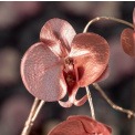 Gałązka Ornare 85cm Orchidea - 2