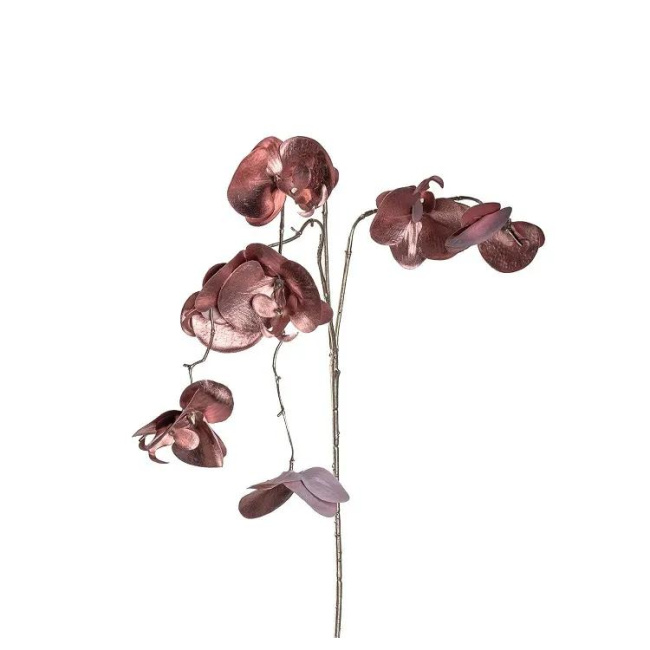 Gałązka Ornare 85cm Orchidea