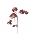 Gałązka Ornare 85cm Orchidea